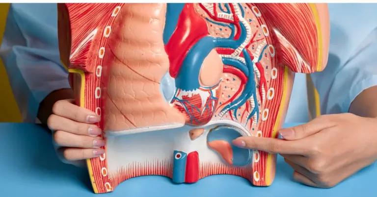 Aneurisma de la Aorta Torácica: síntomas, riesgos y opciones de tratamiento