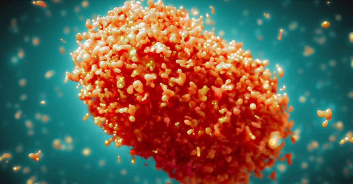 ¿Qué es la Viruela del Mono? Síntomas, Contagio y Prevención