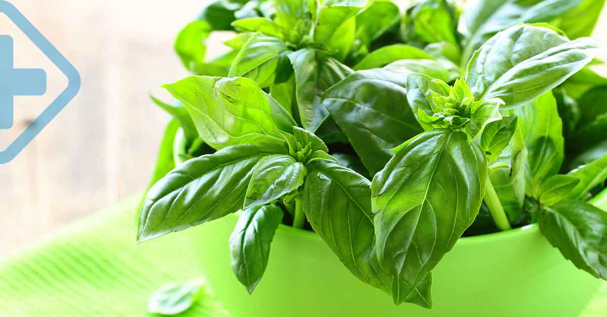 ¡Plantas Antivirales, vale la pena probar!