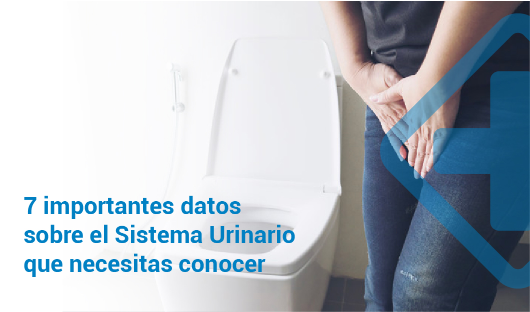 7 importantes datos sobre el Sistema Urinario que necesitas conocer