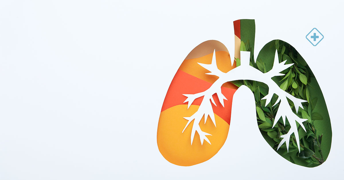 5 Maneras de cuidar tus pulmones